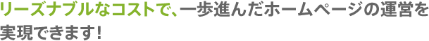 リーズナブルなコストで、一歩進んだホームページの運営を実現できます！